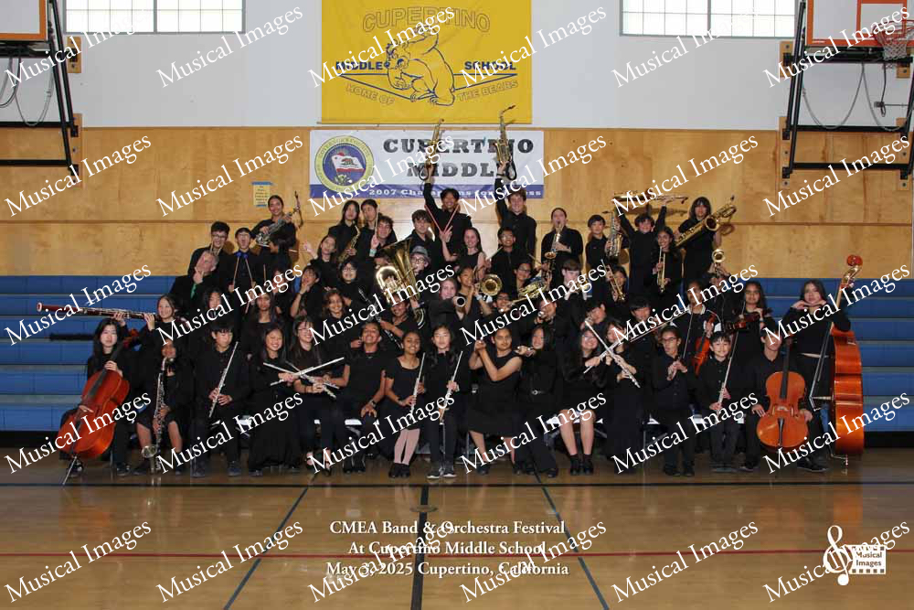 Musical Images